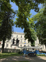 Spider lift - dizalica - Image 10